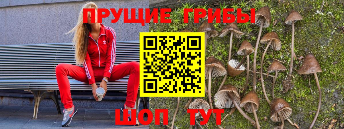 Луховицы  Псилоцибиновые грибы GOLDEN TEACHER  Вход с VPN 